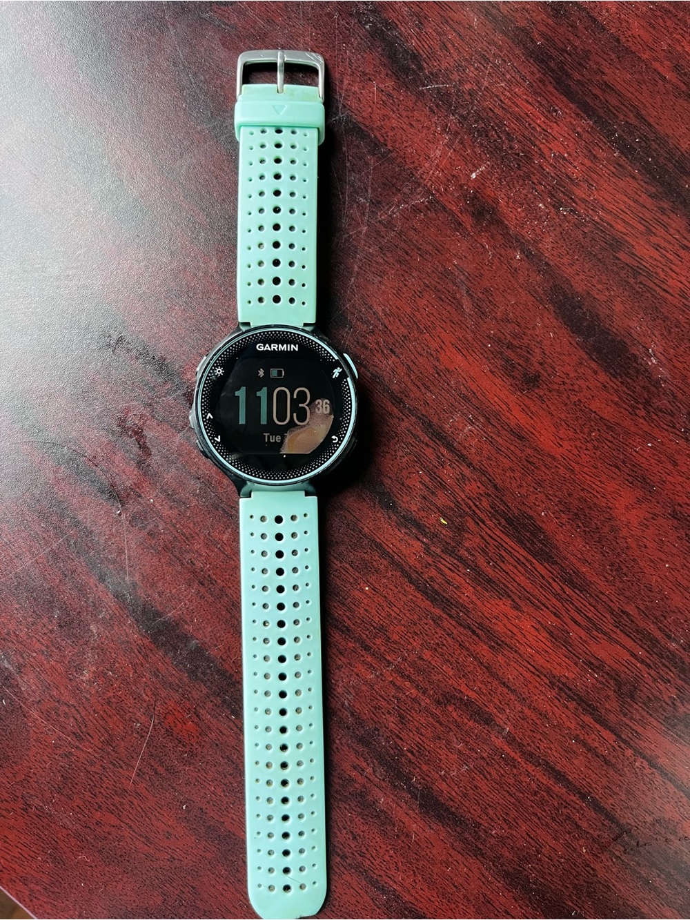 Garmin 235 Forerunner Smartwatch with Mint Green Perforated Band